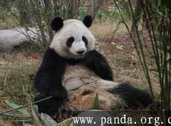 8：30 “美兰”举掌熄灯 烛光中静享地球一小时