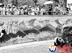 20名聋哑孩子 动物园里开心观看大熊猫