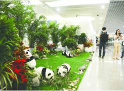 财富论坛嘉宾下了飞机 先路过“大熊猫乐园”