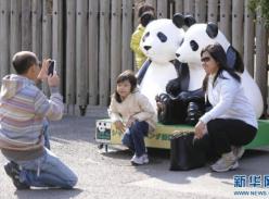 东京上野动物园熊猫馆即将重新开放