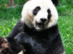 珍惜资源,关爱地球——寄语第44个世界地球日