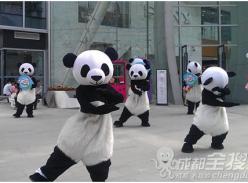 “大熊猫”成都打太极 快闪表演吸引市民眼球