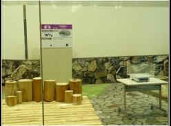 日本和歌山县白浜野生动物园给2012新生儿“优浜”称体重