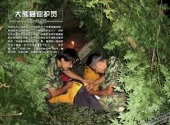 大熊猫巡护员的一天