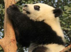 四月不减肥 全年徒伤悲