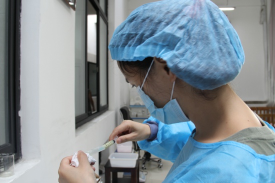 熊猫幼仔的艰辛“育儿经”