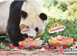 上千游客参与“熊猫留滇”周年庆 思嘉连吃两个蛋糕