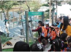 森林动物园小熊猫馆开馆 22只小熊猫见客