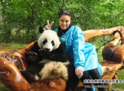女神也爱大熊猫