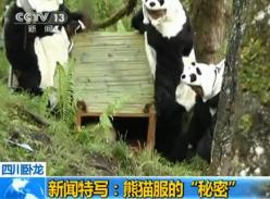 熊猫服的秘密(视频)