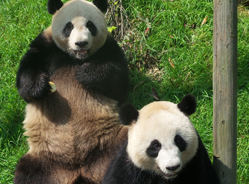 激情6月 特色野放