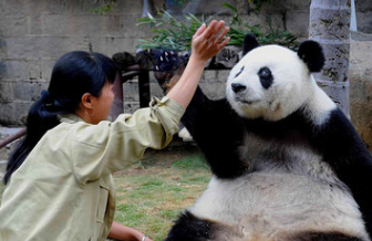 以爱为名的怀念--愿“巴斯”的“奶妈”施大姐在天堂安息