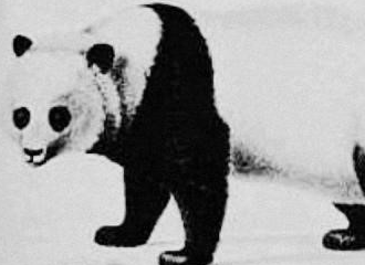 大熊猫“出山记”