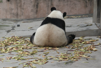 谁知“盘中笋”,粒粒皆辛苦