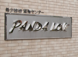 一份来自日本的牵挂