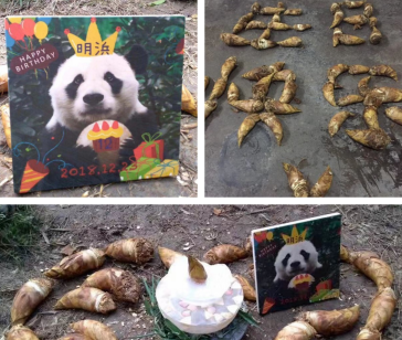 明浜12岁生日会