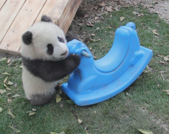 成实的一些爱好