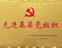 我支部荣获“先进基层党组织”称号