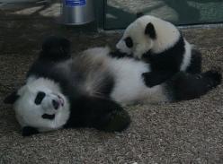 美兰——永远的“地球一小时”荣誉大使