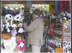 美国NBC来蓉揭秘大熊猫