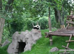 活泼调皮的宝宝和爱睡懒觉的妈妈