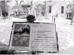 济南动物园大熊猫馆亮“招牌”