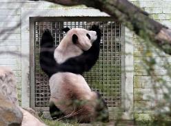 爱在爱丁堡---“甜甜”与“阳光”