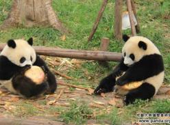 瞧，我们这样过夏天