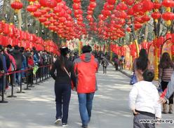 2013成都熊猫嘉年华活动图片集锦