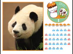 2013年大熊猫年历隆重登场啦！