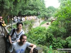 德国汉莎公司探访大熊猫“天天”