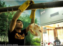 还是这个姿势比较优雅点