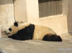 你能找到我吗？