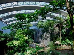 新加坡正式对公众开放来自中国的大熊猫