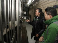 莫文蔚赴成都熊猫基地以及熊猫谷 体验“熊猫守护使”生活