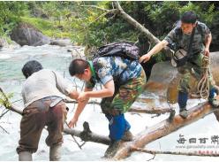 山里跑了7个月 就见过一次大熊猫