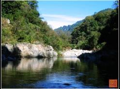 陕西又添一国家级自然保护区 保护大熊猫栖息地