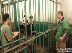 即将赴加大熊猫“大毛”洗澡