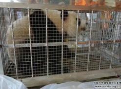 “文莉”“雅莉”旅居羊城