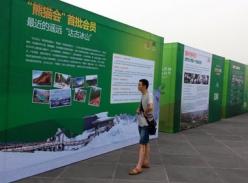 全球首个“熊猫会”成立 网上可看熊猫直播