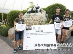 “全球熊猫守护之旅”启动