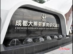 俄罗斯媒体参观成都大熊猫基地 称俄罗斯发展国内游应向中国学习