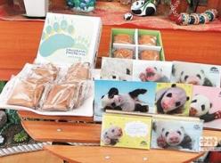 赠台熊猫宝宝圆仔高人气 成为动物园百岁代言人