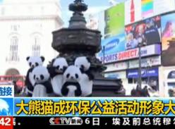 大熊猫成环保公益活动形象大使（视频）