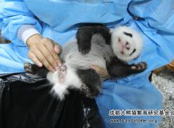 “仨”成长中的一天