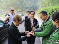 加拿大总督夫人宋雯女士一行参观成都大熊猫基地