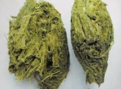 大熊猫粪便能告诉我们些什么?