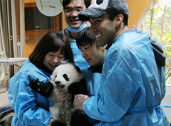 全球首次大熊猫在线互动直播