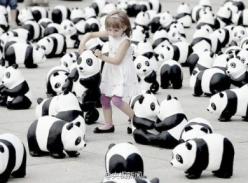 1600只“熊猫”集体卖萌 在法德等地现身