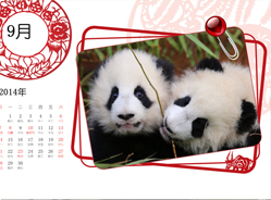 2014大熊猫年历